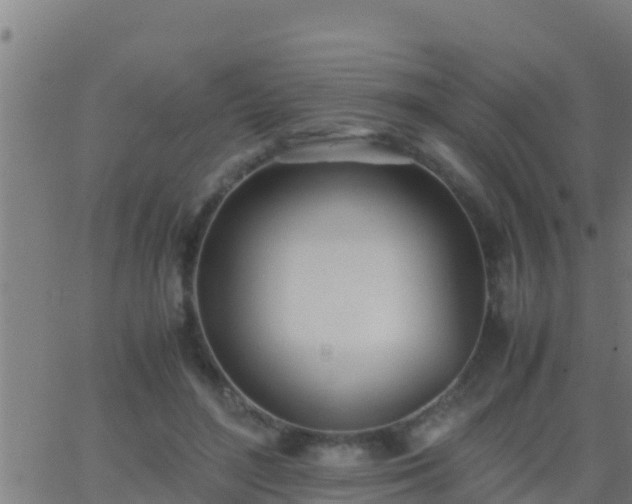 X0000062900500200601201914