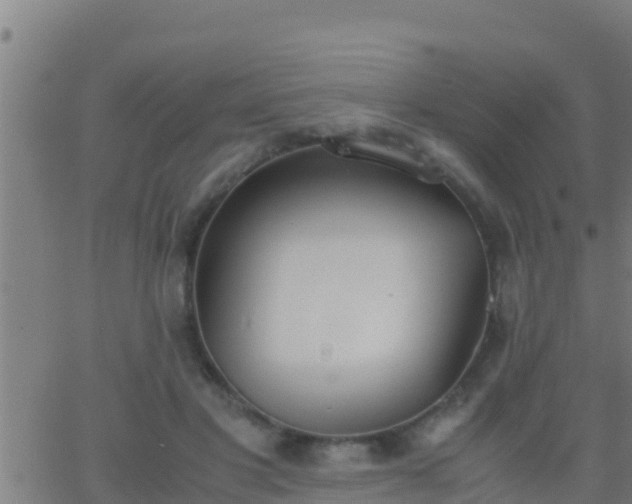 X0000062900501200601201914