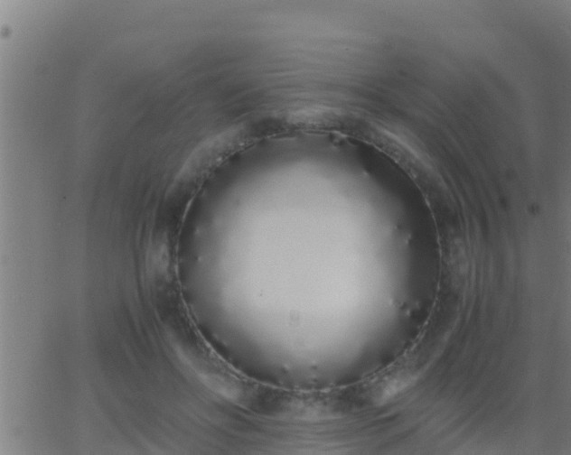 X0000062900502200601201914