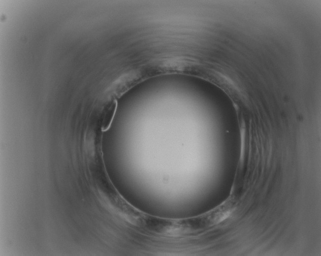 X0000062900504200601201914