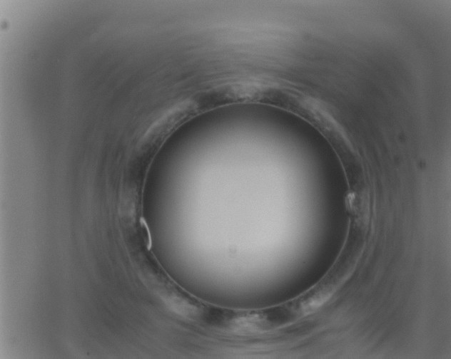 X0000062900505200601201914