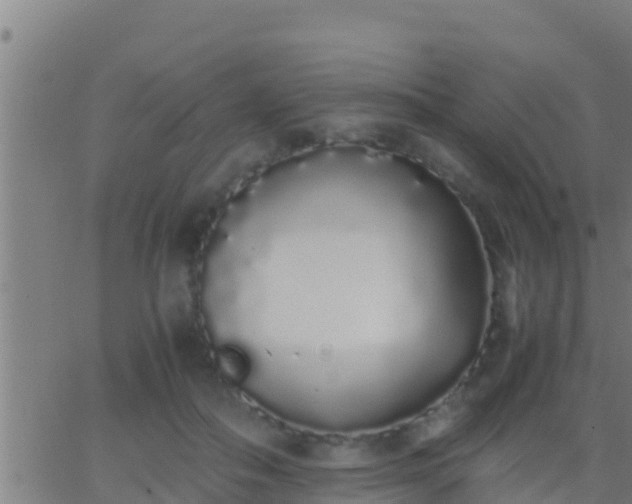 X0000062900506200601201914