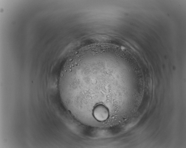 X0000062900507200601201914