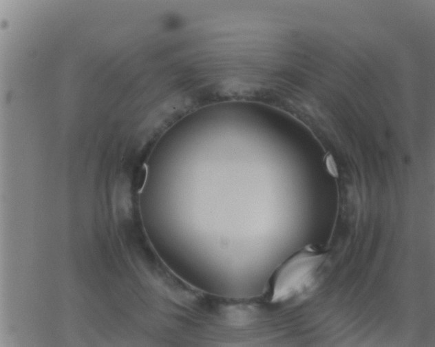 X0000062900508200601201914