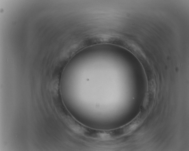 X0000062900509200601201914