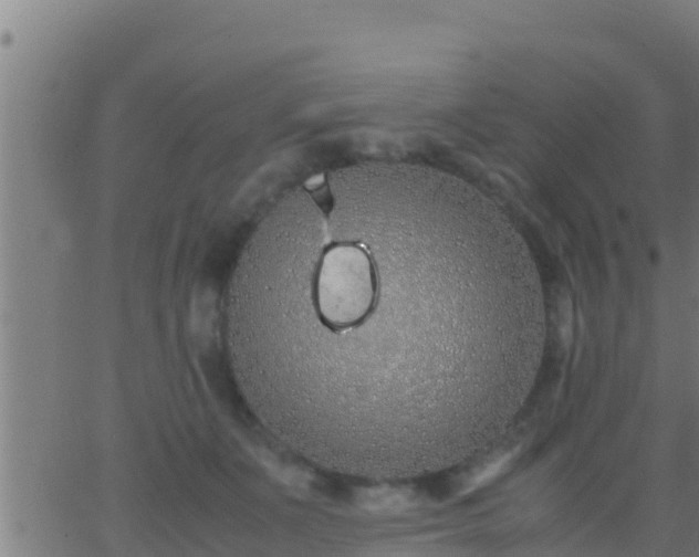 X0000062900511200601201914