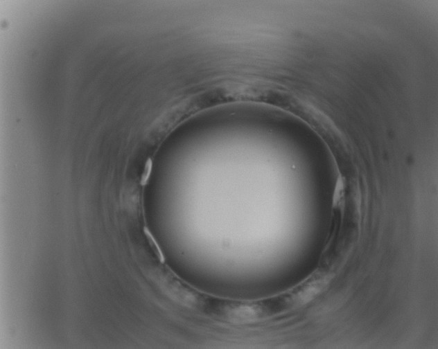 X0000062900513200601201914