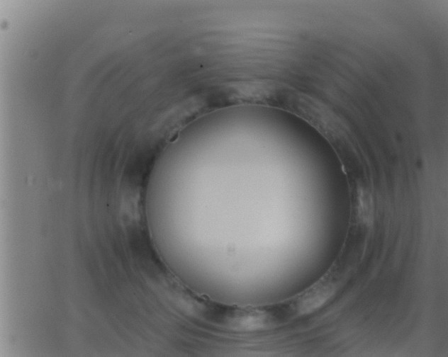 X0000062900514200601201914