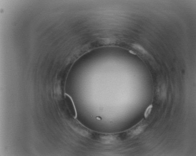 X0000062900516200601201914