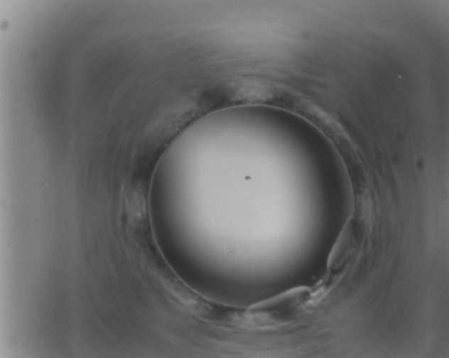 X0000062900517200601201914