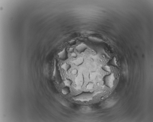 X0000062900519200601201914