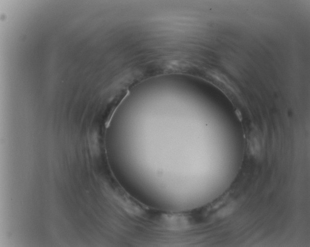 X0000062900520200601201914