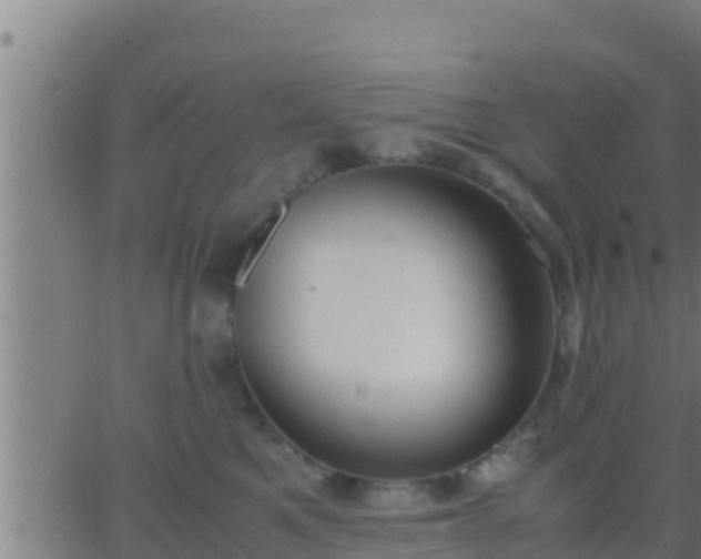 X0000062900521200601201914