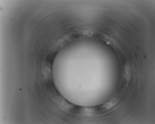 X0000062900522200601201914