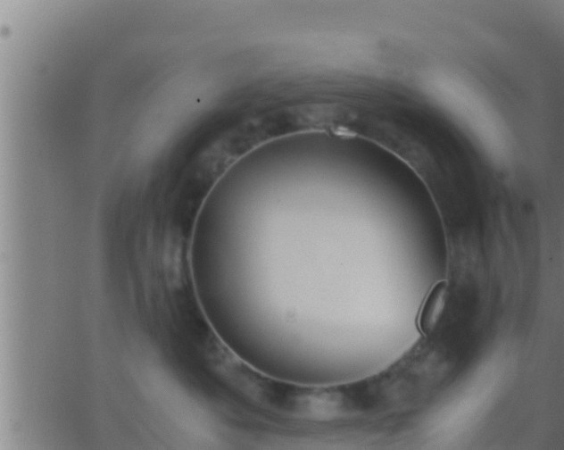 X0000062900525200601201914