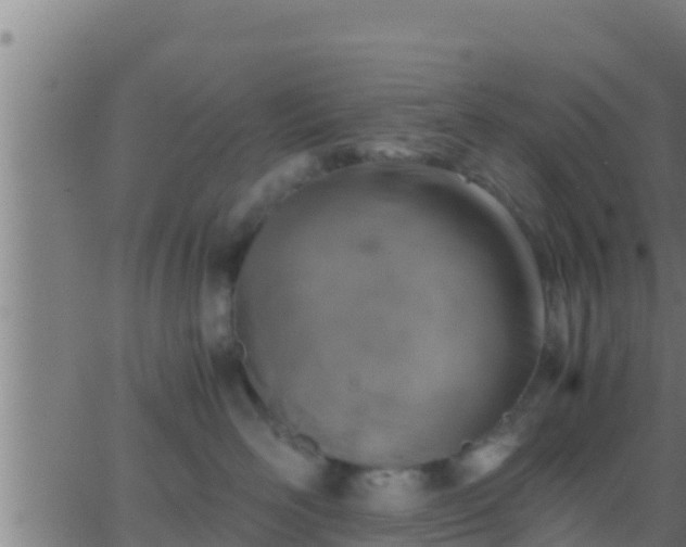 X0000062900526200601201914