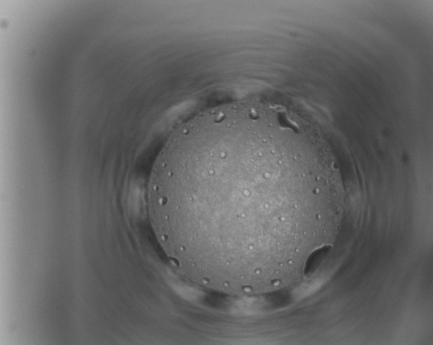 X0000062900527200601201914