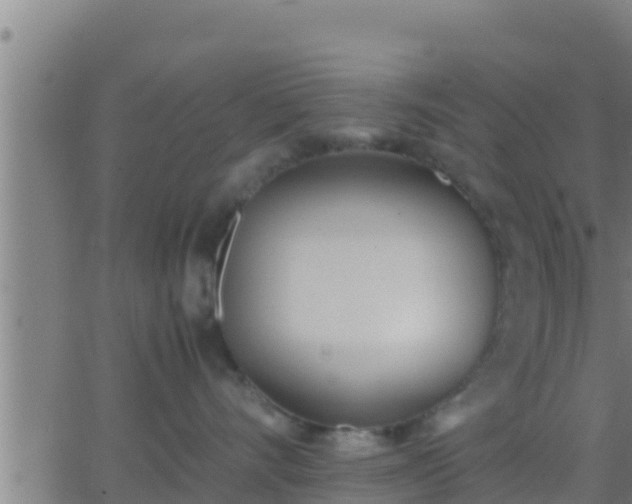 X0000062900528200601201914