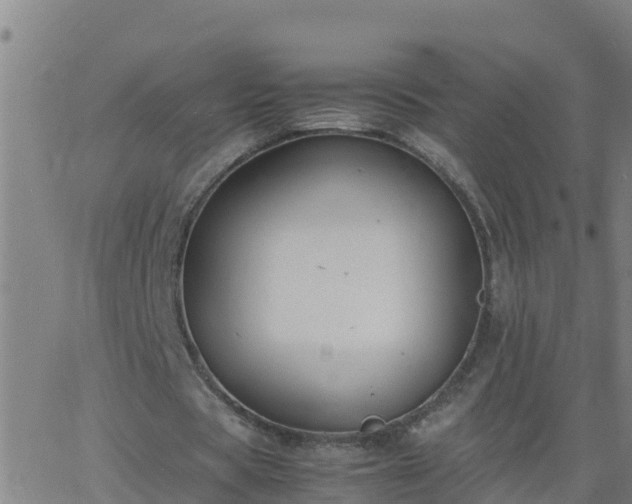 X0000062900529200601201913