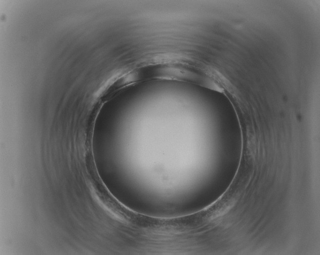 X0000062900530200601201913