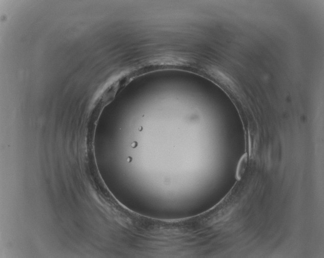 X0000062900531200601201913