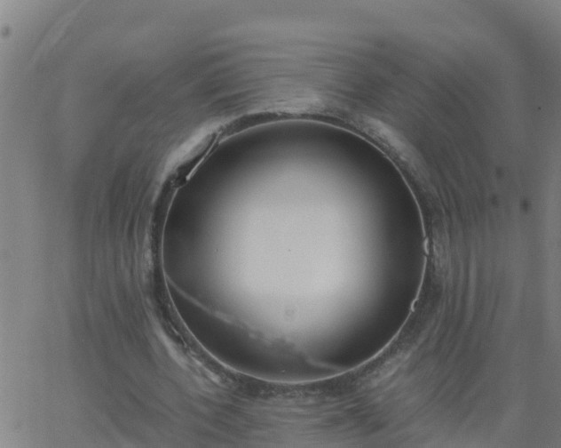 X0000062900532200601201913