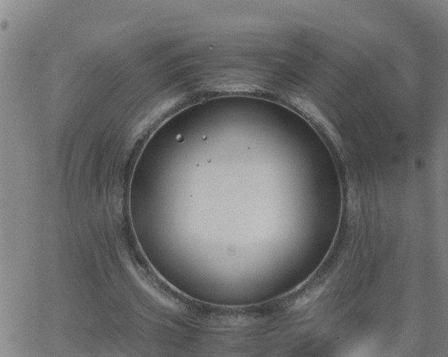 X0000062900533200601201913