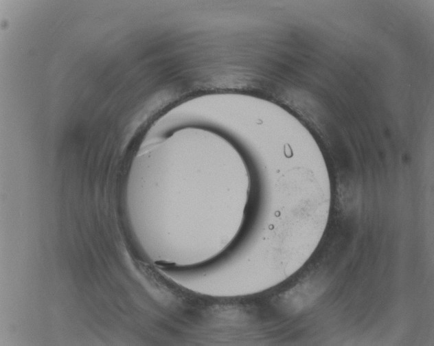 X0000062900534200601201913