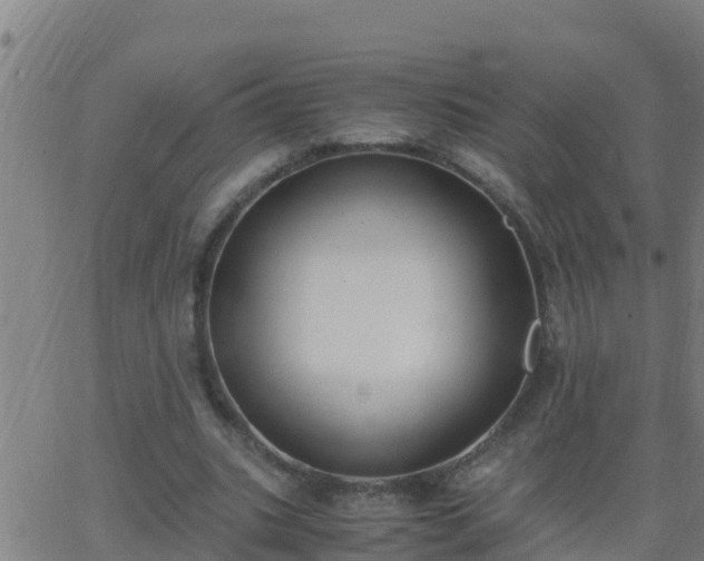 X0000062900535200601201913