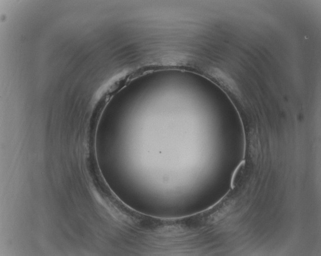 X0000062900536200601201913