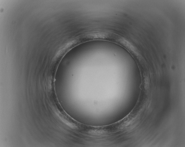 X0000062900537200601201913