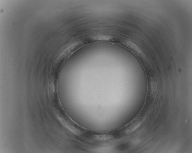 X0000062900541200601201913