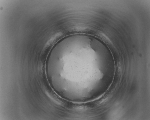 X0000062900542200601201913