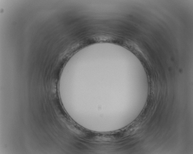 X0000062900545200601201913