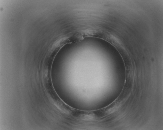 X0000062900548200601201914