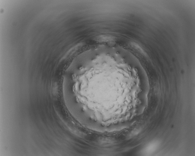 X0000062900549200601201914