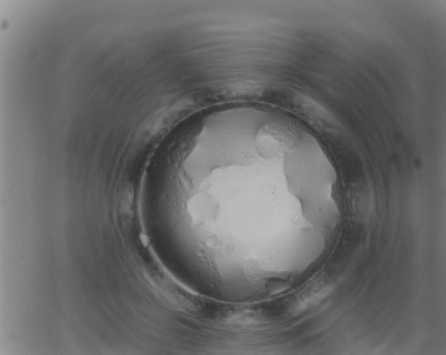 X0000062900550200601201914