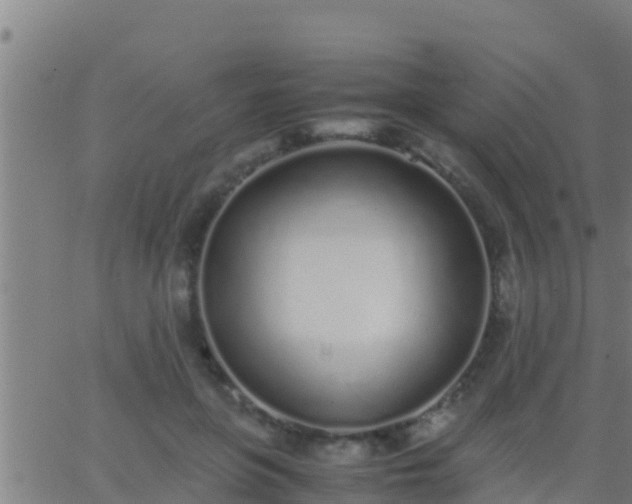 X0000062900551200601201914