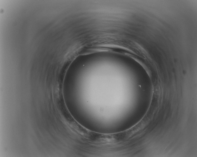 X0000062900552200601201914