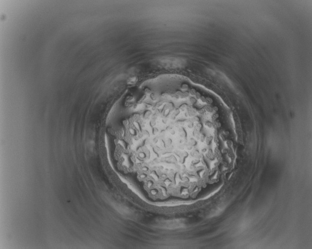 X0000062900553200601201914