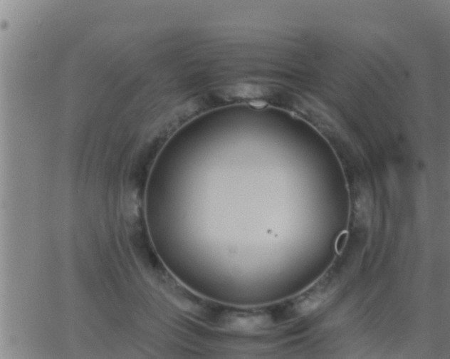 X0000062900555200601201914