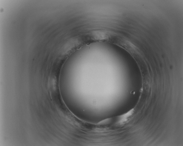 X0000062900556200601201914