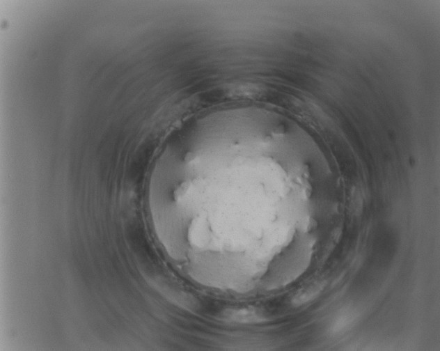 X0000062900557200601201914