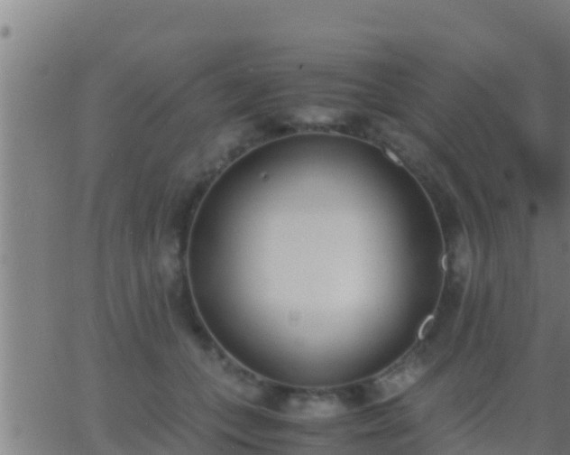 X0000062900559200601201914