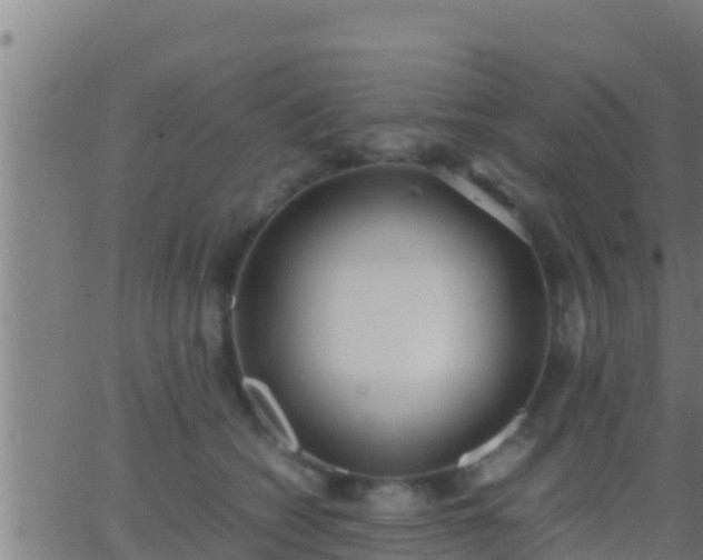 X0000062900562200601201914