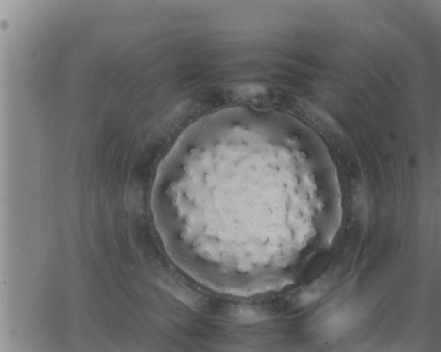 X0000062900565200601201914