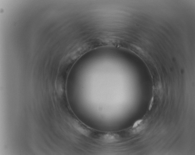 X0000062900566200601201914