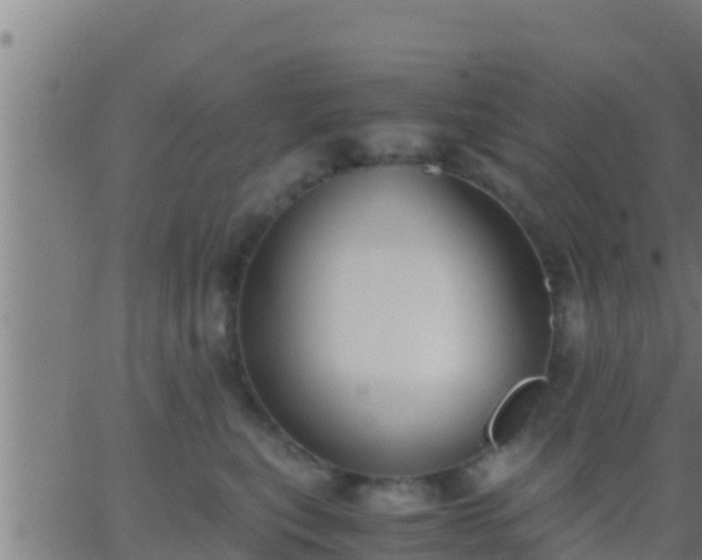 X0000062900567200601201914