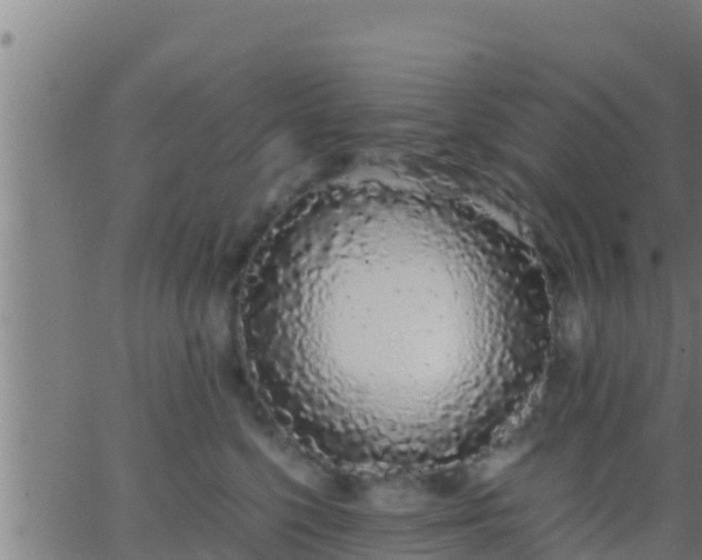 X0000062900568200601201914