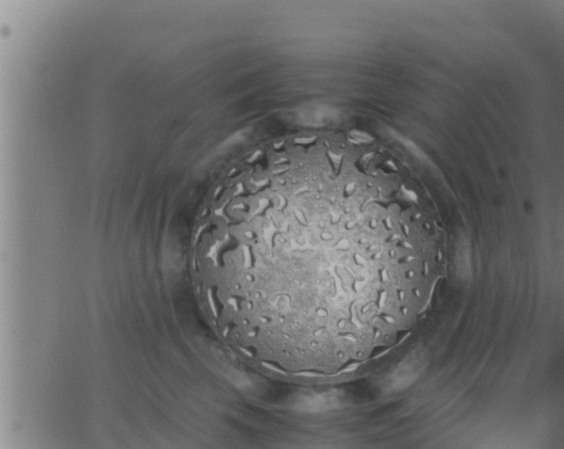 X0000062900569200601201914